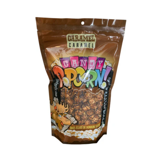 CHOCOLATE MOOSE FUDGE FACTORY CARAMEL CANDY POPCORN